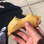 Profile Picture of Ian Sipe (@iansipe) on Instagram