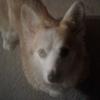 Profile Picture of Angela Warnock (@@user604868059) on Tiktok