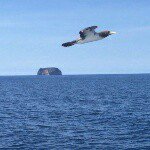 Juan Carlos Llanez - Instagram Profile Picture of Juan Carlos Llanez (@juancarlosllanez) on Instagram