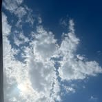 Profile Picture of Cedric Perreira (@Cedric-Perreira) on Facebook