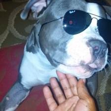 Profile Picture of Deshon R James (@bolou80) on Twitter