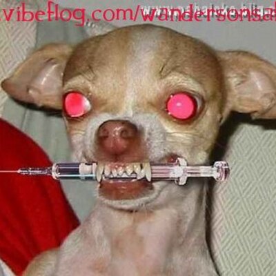 Profile Picture of Hfhfhfh (@fhfhfkl_) on Twitter