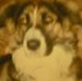 Profile Picture of James Brian Lynskey (@jamesbrian.lynskey) on Facebook