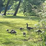 Profile Picture of Mary Roslyn (@Mary-Roslyn) on Facebook