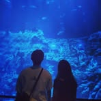 Profile Picture of Chung Wing (@chungwing.au) on Facebook