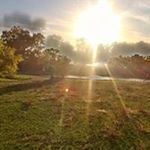 Profile Picture of Christopher T Koerner (@koernerchristopher) on Instagram