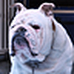 Yoshinobu Monna - Flickr Profile Picture of Yoshinobu Monna (@y monna) on Flickr