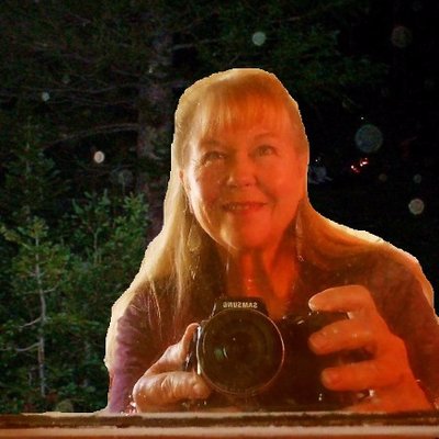 Profile Picture of Deborah  Moen (@DeborahMoonMoen) on Twitter