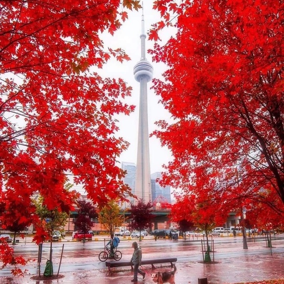 Profile Picture of Huda Mohammed (@hudam91) on Poshmark