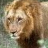 Profile Picture of Eddy Tostado (@eddy-tostado) on Quora