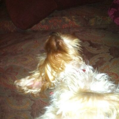 Profile Picture of Sean Nicol (@seannicol1978) on Twitter