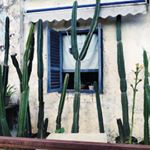 Profile Picture of leung (@cheuk_yin_leung) on Instagram