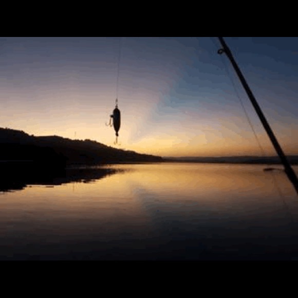 Profile Picture of Roberto Fuster (@tala15618) on Poshmark