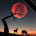 Profile Picture of Doris Tidwell (@Doris-Tidwell) on Facebook