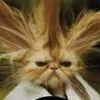 Profile Picture of Marlene Bridge (@utoididitagain) on Myspace
