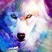 Profile Picture of wolf bruh (@dariusmax911) on Pinterest