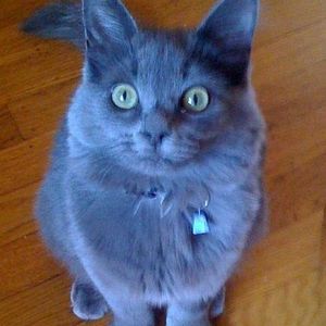 Profile Picture of Jessica Nussbaum (@411640514) on Myspace