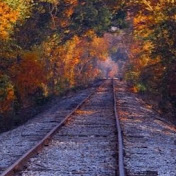 Profile Picture of Matthew McCord (@matthewmccord67) on Youtube