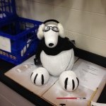 Mike Malek - Instagram Profile Picture of Mike Malek (@magic_malek) on Instagram