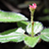 Profile Picture of Huang Li Yong On (@Huang Li Yong On) on Flickr