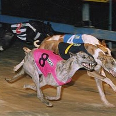 Profile Picture of Tony Collett (@tony_collett) on Twitter