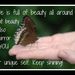 Profile Picture of Paulette Tyrrell (@pollywog15) on Pinterest