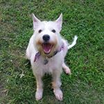 Profile Picture of Terry Ream (@terry.ream.338) on Instagram