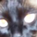 Profile Picture of Randy Steig (@randy.steig.54) on Facebook