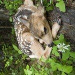 Profile Picture of Stander (@robertoyxoa) on Instagram