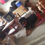 Profile Picture of Kimberly Goeman (@kimberlygoeman) on Instagram