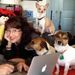 Profile Picture of Alice Nugent (@alicenugent) on Pinterest