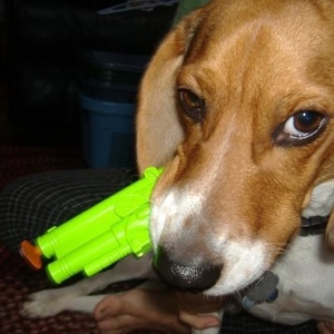 Profile Picture of Daniel Mccrossan (@dmac4christ) on Myspace