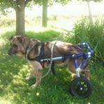 Profile Picture of Brian Ramsey (@brian_ramsey_) on Instagram