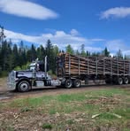 Scott Bunnell - Facebook Profile Picture of Scott Bunnell (@scott.bunnell.792) on Facebook