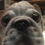 Profile Picture of Hacker rick (@rick.j.44) on Instagram