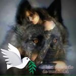 Profile Picture of Carlos Paças (@carlos_pacas) on Instagram