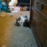 Profile Picture of Ken Adkins (@deadkey75) on Instagram