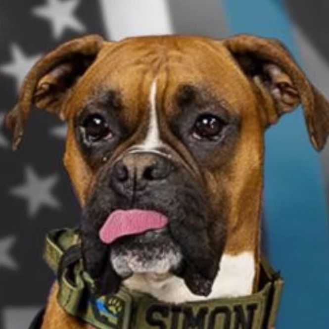 Todd Burke21 - Tiktok Profile Picture of Todd Burke21 (@toddburke21) on Tiktok