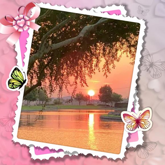Profile Picture of Justyna Ladwig (@justynaml73) on Poshmark