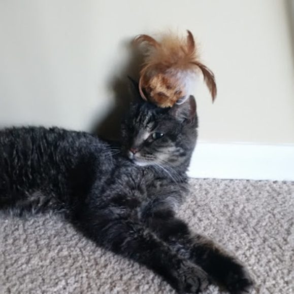 Profile Picture of Carson Svee (@carson_svee) on Poshmark