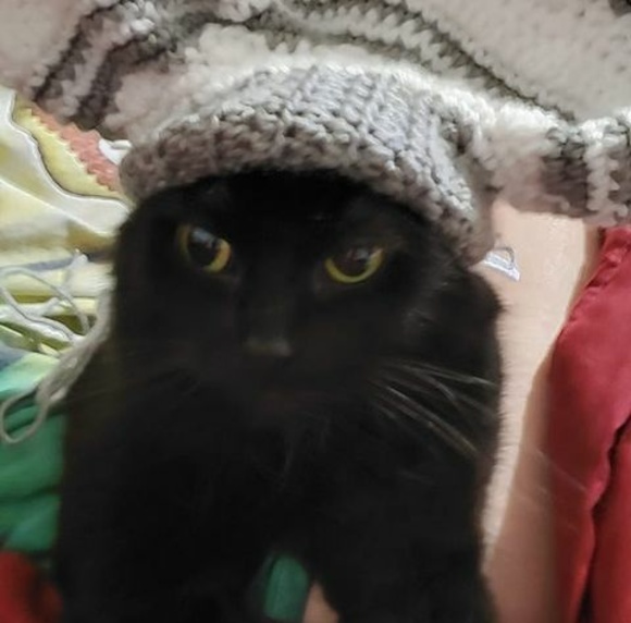 Profile Picture of Ron Ryan (@karaoke898) on Poshmark