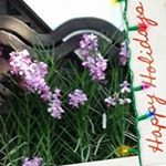 Profile Picture of Conrad Knowles (@conradknowles) on Instagram