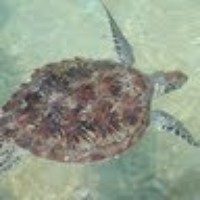 Profile Picture of Eric Hudimac (@eric-hudimac) on Quora