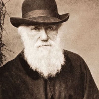 Profile Picture of Chris Farnsworth (@Farnsulie) on Twitter