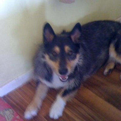 Profile Picture of Martin Blair (@martinblair4) on Twitter