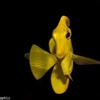 Profile Picture of David Jacko (@davidj2508) on Pinterest