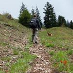 Profile Picture of Joseph Kehoe (@j.a.kehoe) on Instagram