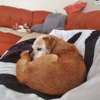 Profile Picture of Nicholas Nieman (@nicholas-nieman-5) on Quora