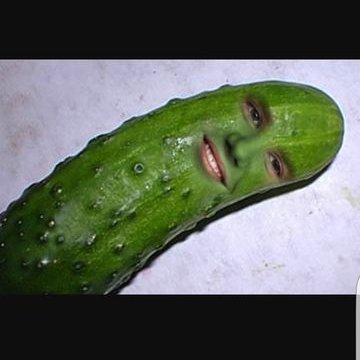 Profile Picture of Penelope Pickle (@cucumbersR_cool) on Twitter