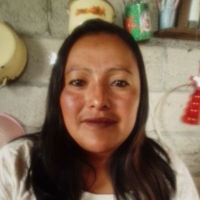 Profile Picture of María Guadalupe Alvarado Pineda (@lupe_alv_pine) on Twitter